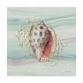 thumbnail image 1 of Trademark Fine Art 'Ocean Dream VII' Canvas Art by Lisa Audit, 1 of 3