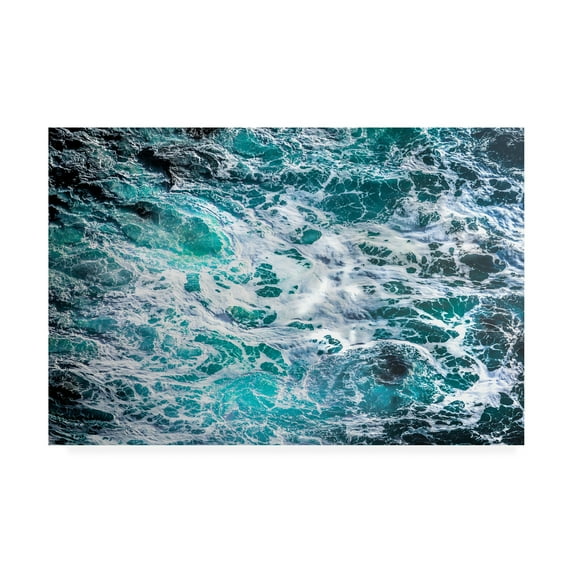 Trademark Fine Art 'Ocean Embrace No. 7' Canvas Art by Lynne Dougla
