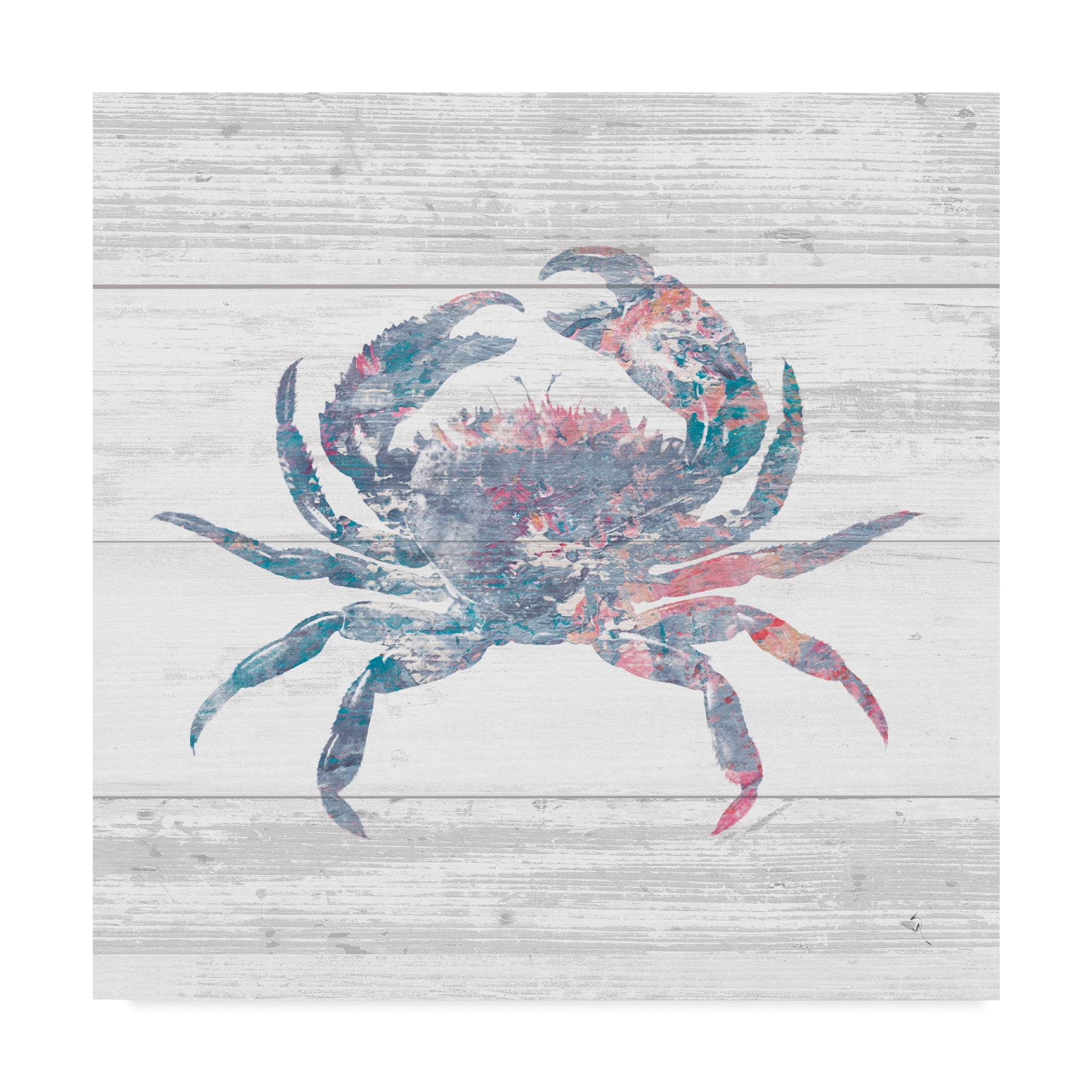 Trademark Fine Art 'Ocean Life I' Canvas Art by Sarah Adams