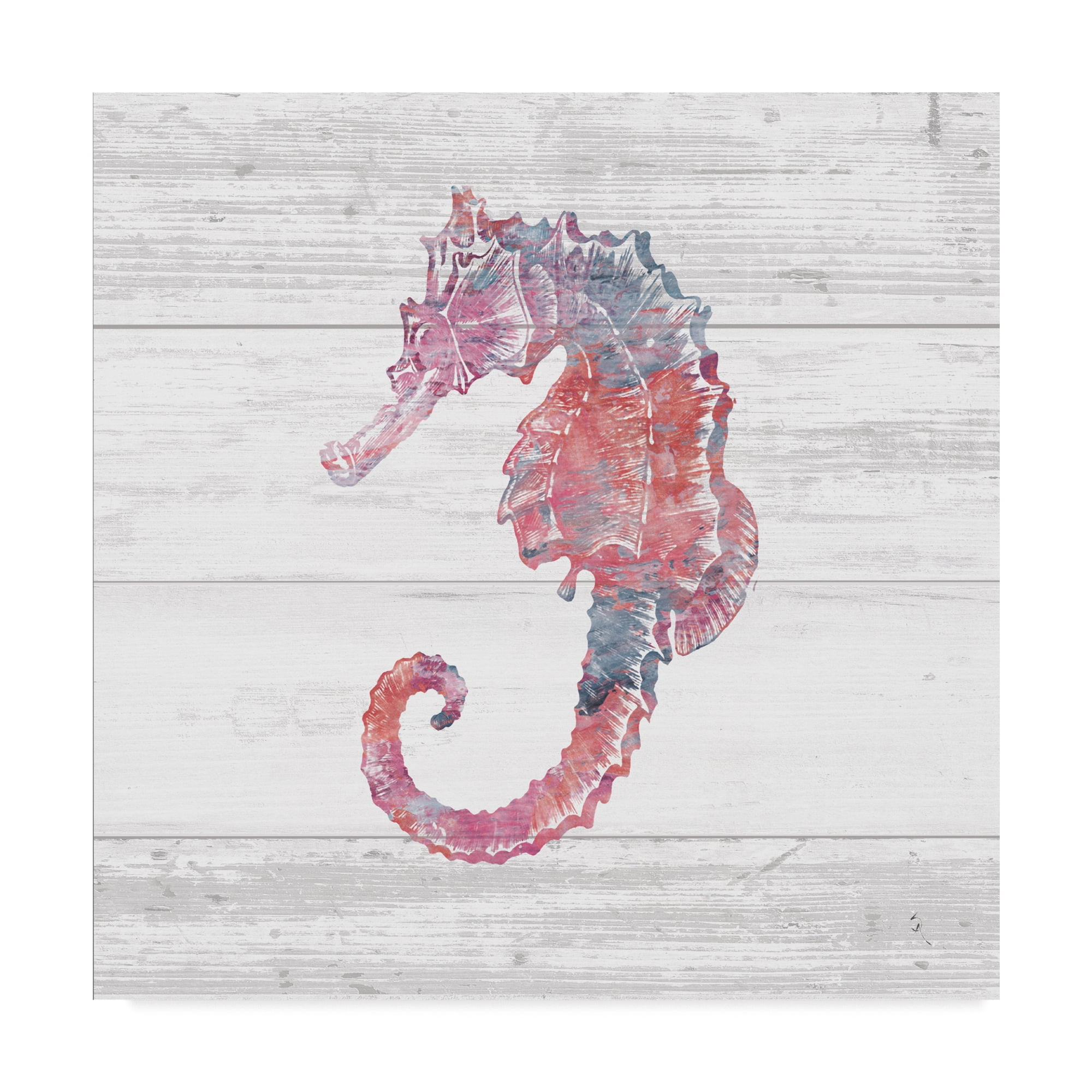 Trademark Fine Art 'Ocean Life III' Canvas Art by Sarah Adams