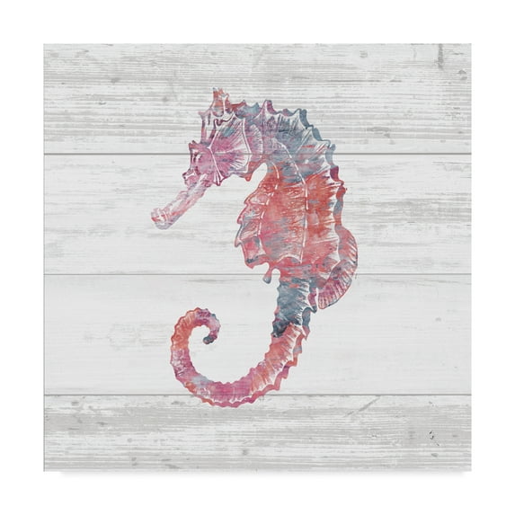 Trademark Fine Art 'Ocean Life III' Canvas Art by Sarah Adams