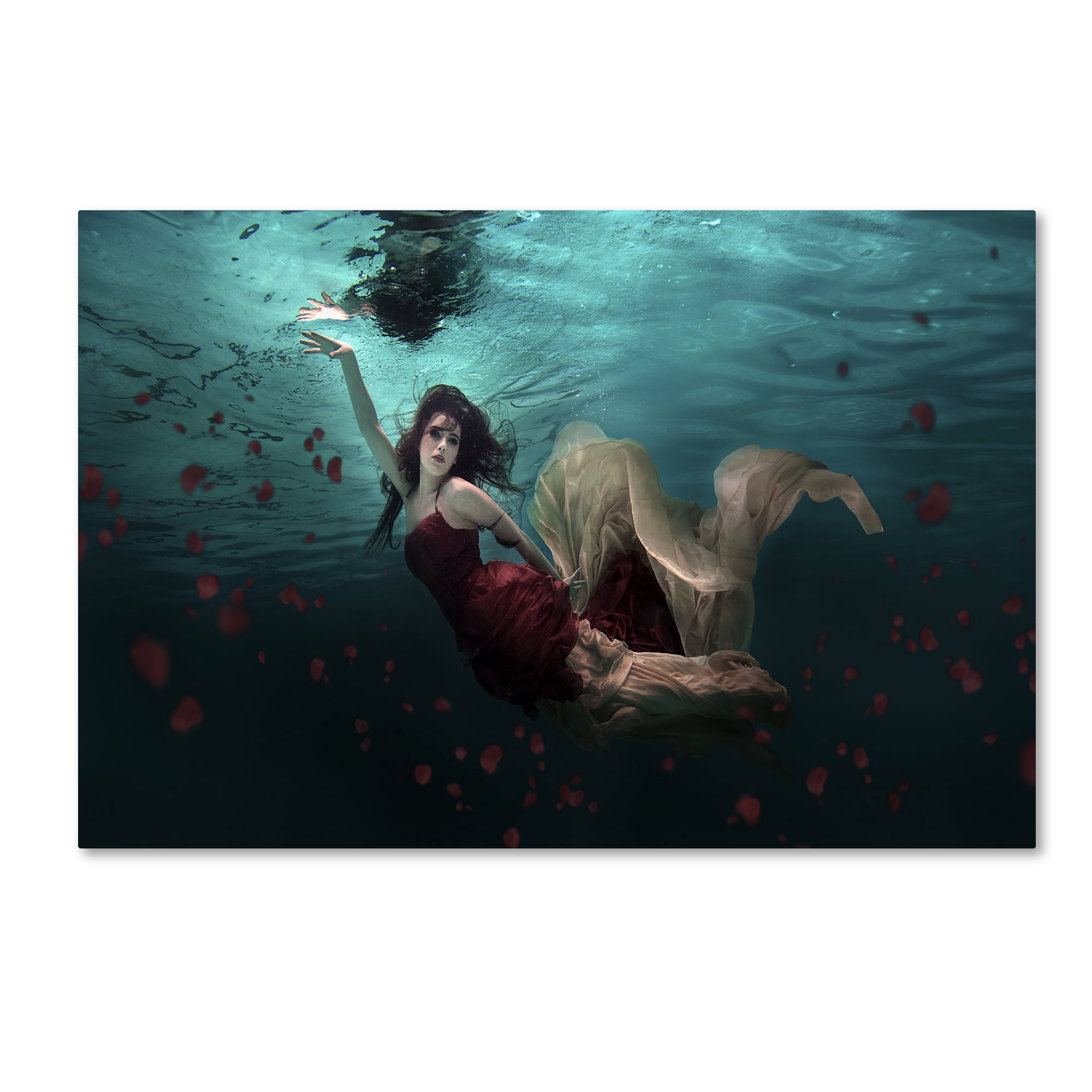 Trademark Fine Art 'Ocean Of Roses' Canvas Art by Martha Suherman