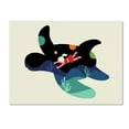 thumbnail image 1 of Trademark Fine Art 'Ocean Roaming' Canvas Art by Andy Westface, 1 of 3