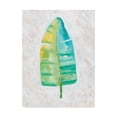 thumbnail image 1 of Trademark Fine Art 'Ocean Side Palms V' Canvas Art by Chariklia Zarris, 1 of 4