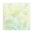 thumbnail image 1 of Trademark Fine Art 'Ocean Tetra II' Canvas Art by Vanna Lam, 1 of 4