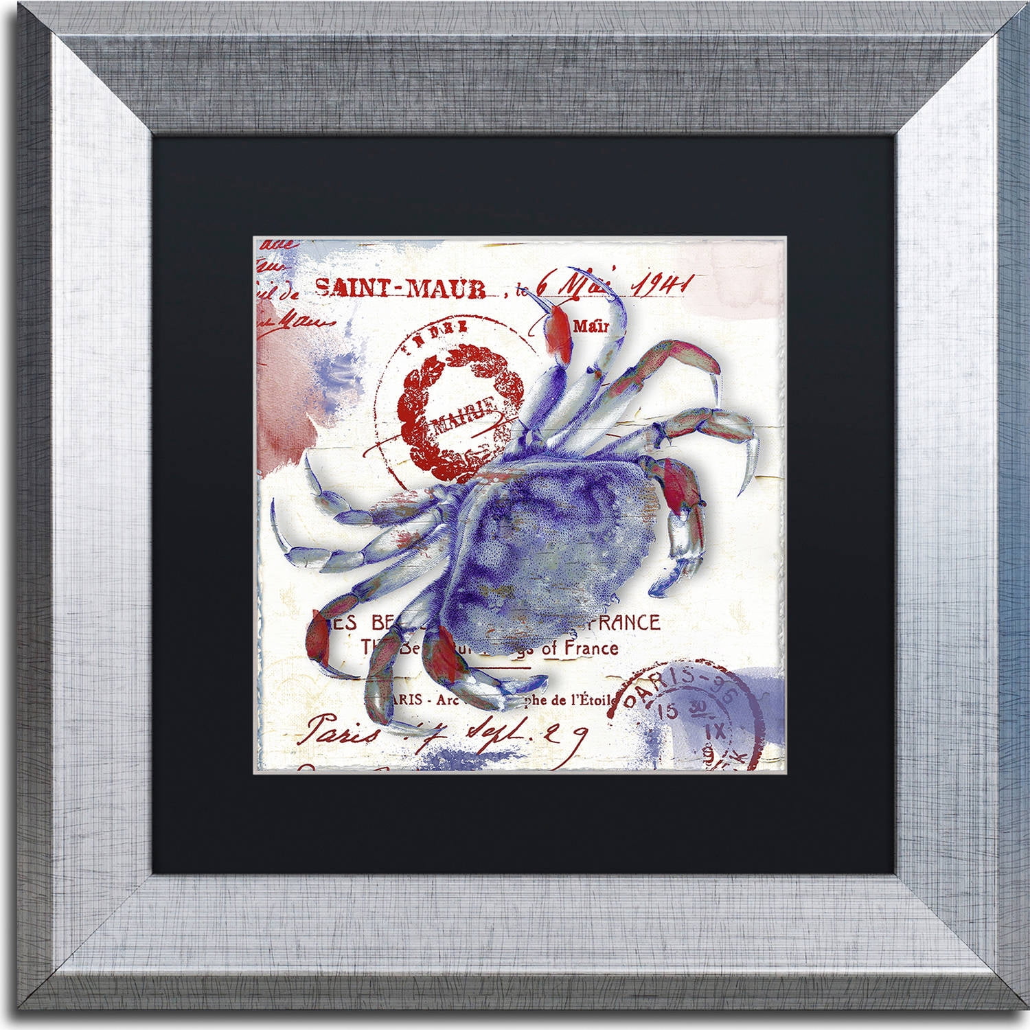 Trademark Fine Art "Oceania I" Canvas Art by Color Bakery, Black Matte, Silver Frame