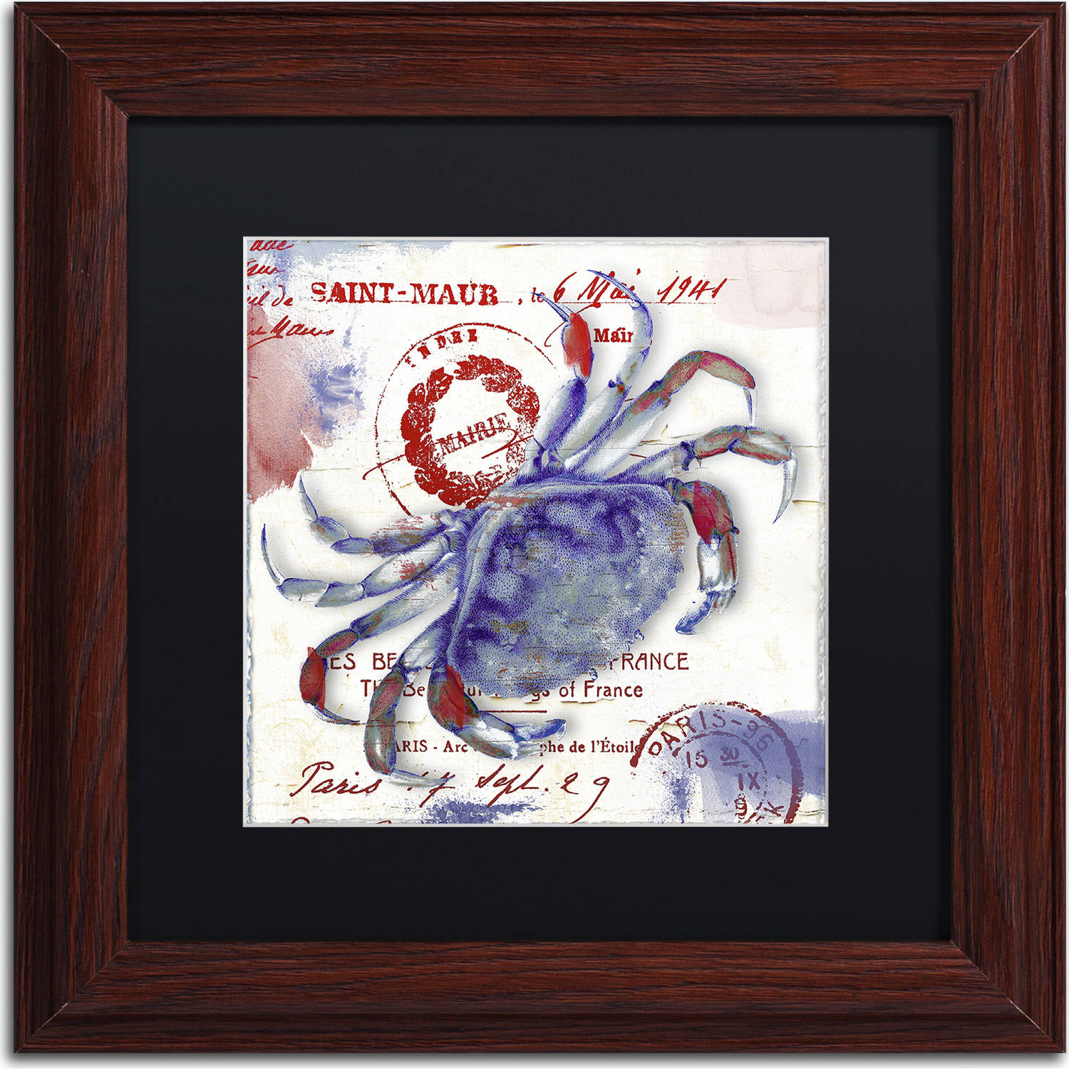 Trademark Fine Art "Oceania I" Canvas Art by Color Bakery, Black Matte, Wood Frame