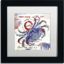 Trademark Fine Art "Oceania I" Canvas Art by Color Bakery, White Matte, Black Frame