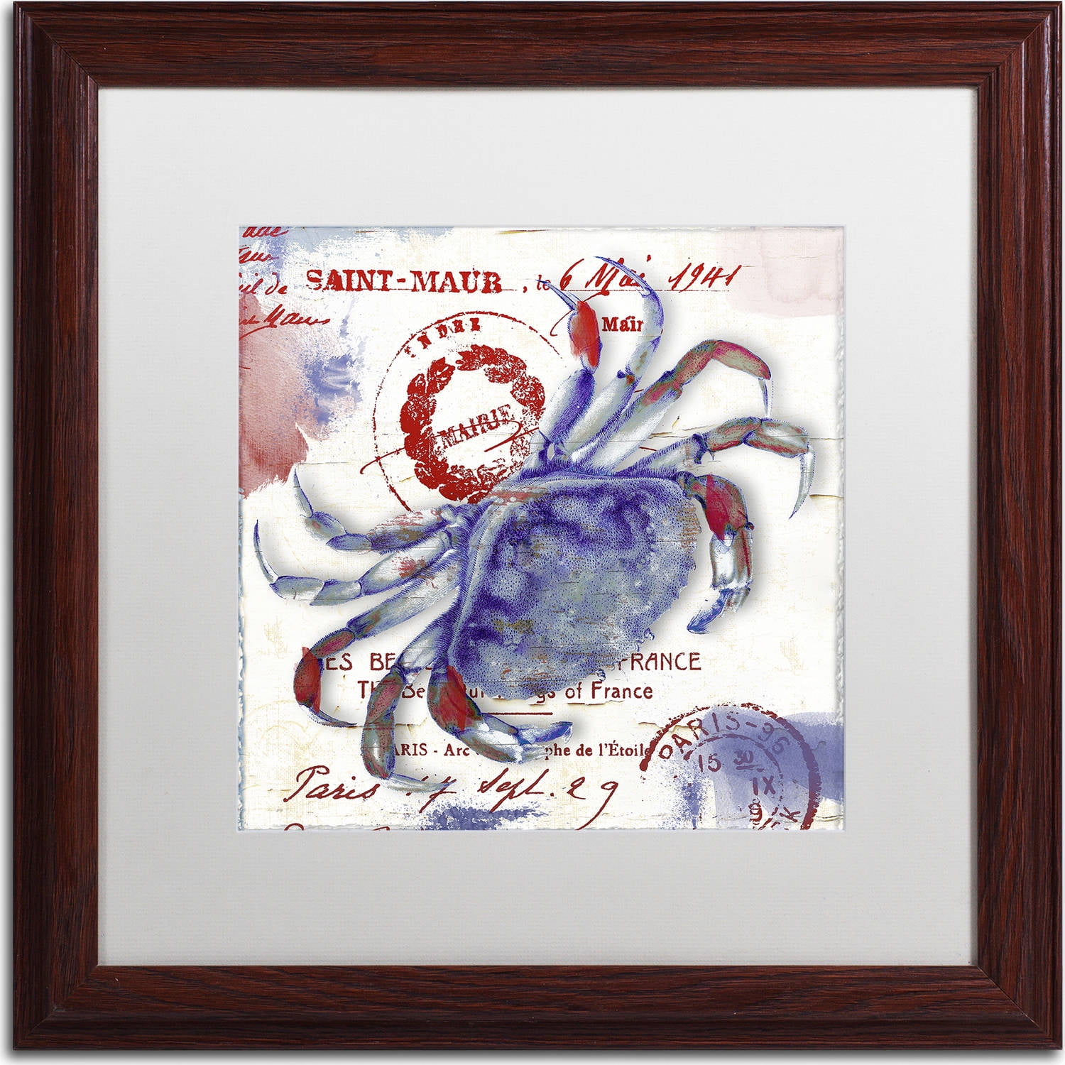 Trademark Fine Art "Oceania I" Canvas Art by Color Bakery, White Matte, Wood Frame