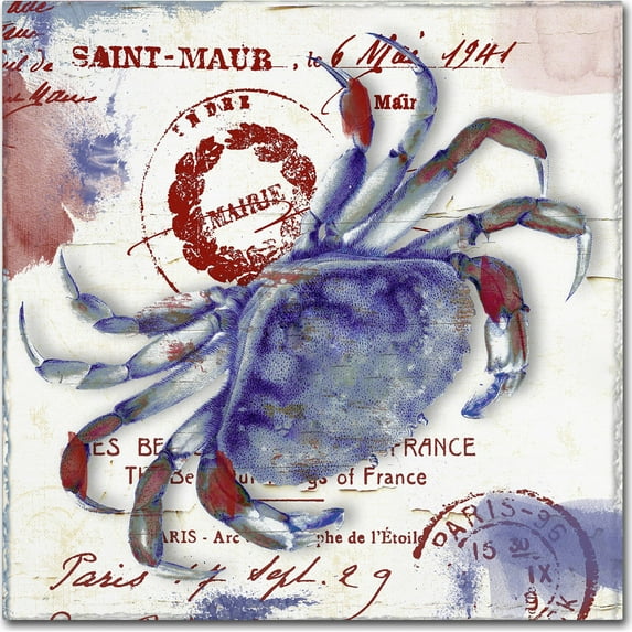 Trademark Fine Art "Oceania I" Canvas Art by Color Bakery