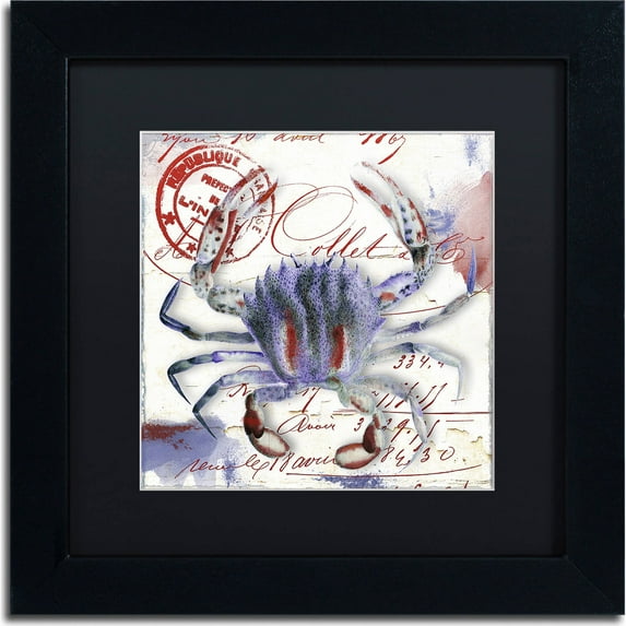 Trademark Fine Art "Oceania II" Canvas Art by Color Bakery, Black Matte, Black Frame