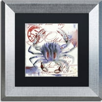 Trademark Fine Art "Oceania II" Canvas Art by Color Bakery, Black Matte, Silver Frame