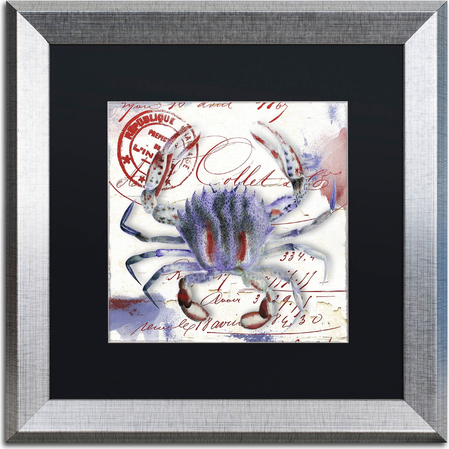 Trademark Fine Art "Oceania II" Canvas Art by Color Bakery, Black Matte, Silver Frame