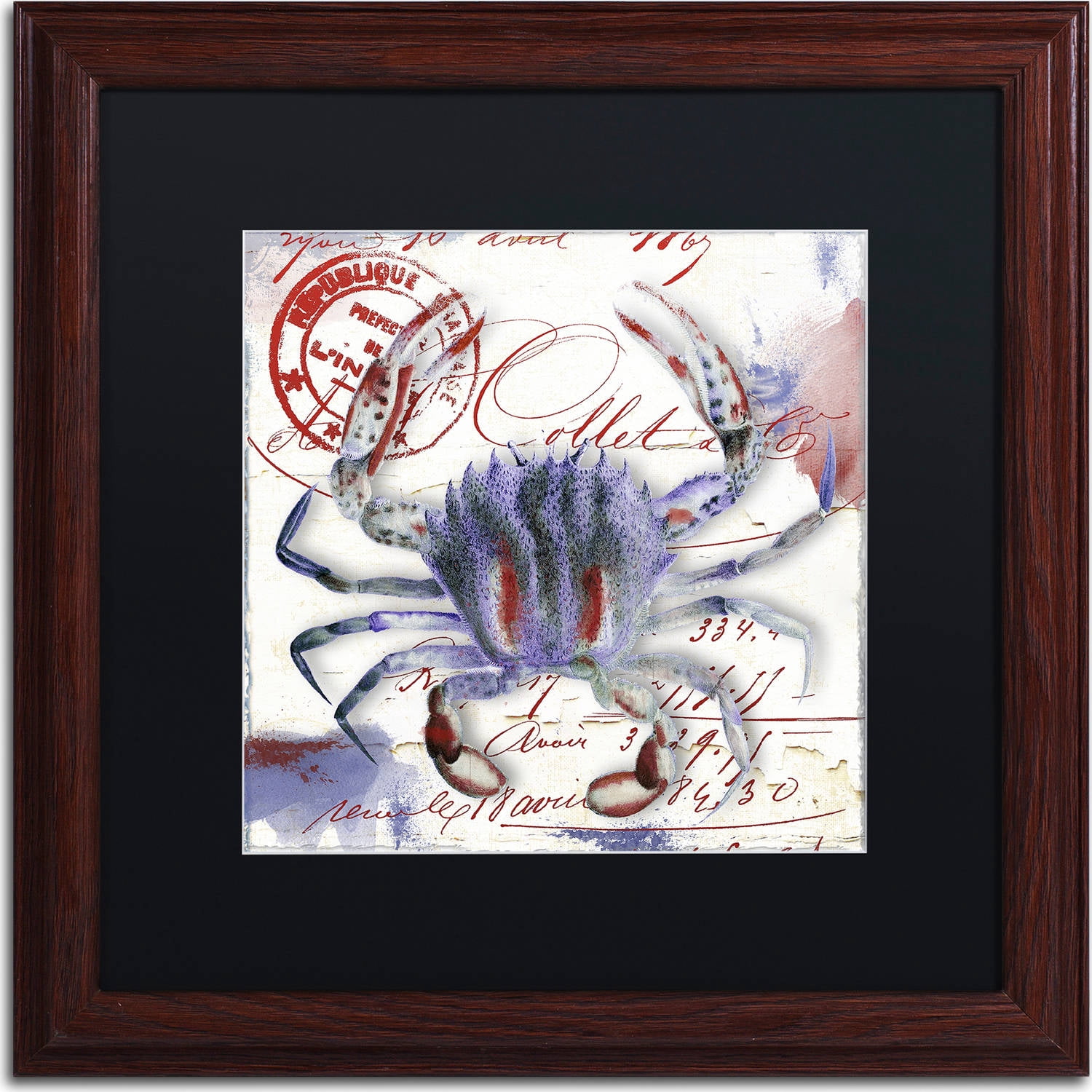 Trademark Fine Art "Oceania II" Canvas Art by Color Bakery, Black Matte, Wood Frame
