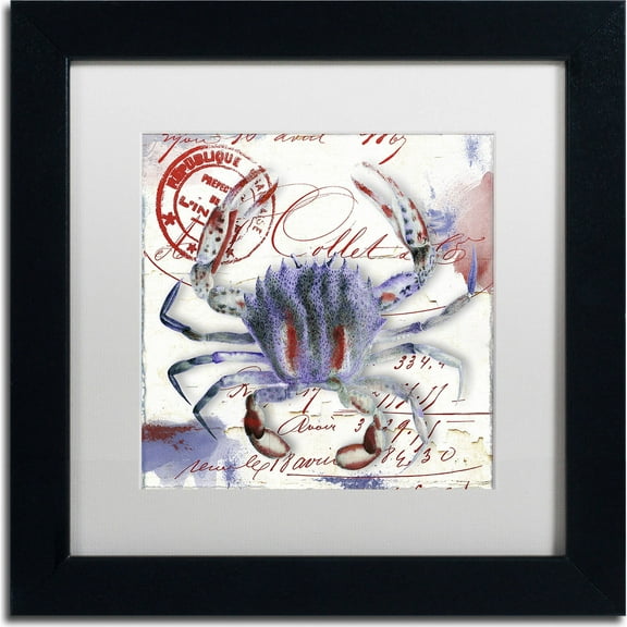 Trademark Fine Art "Oceania II" Canvas Art by Color Bakery, White Matte, Black Frame