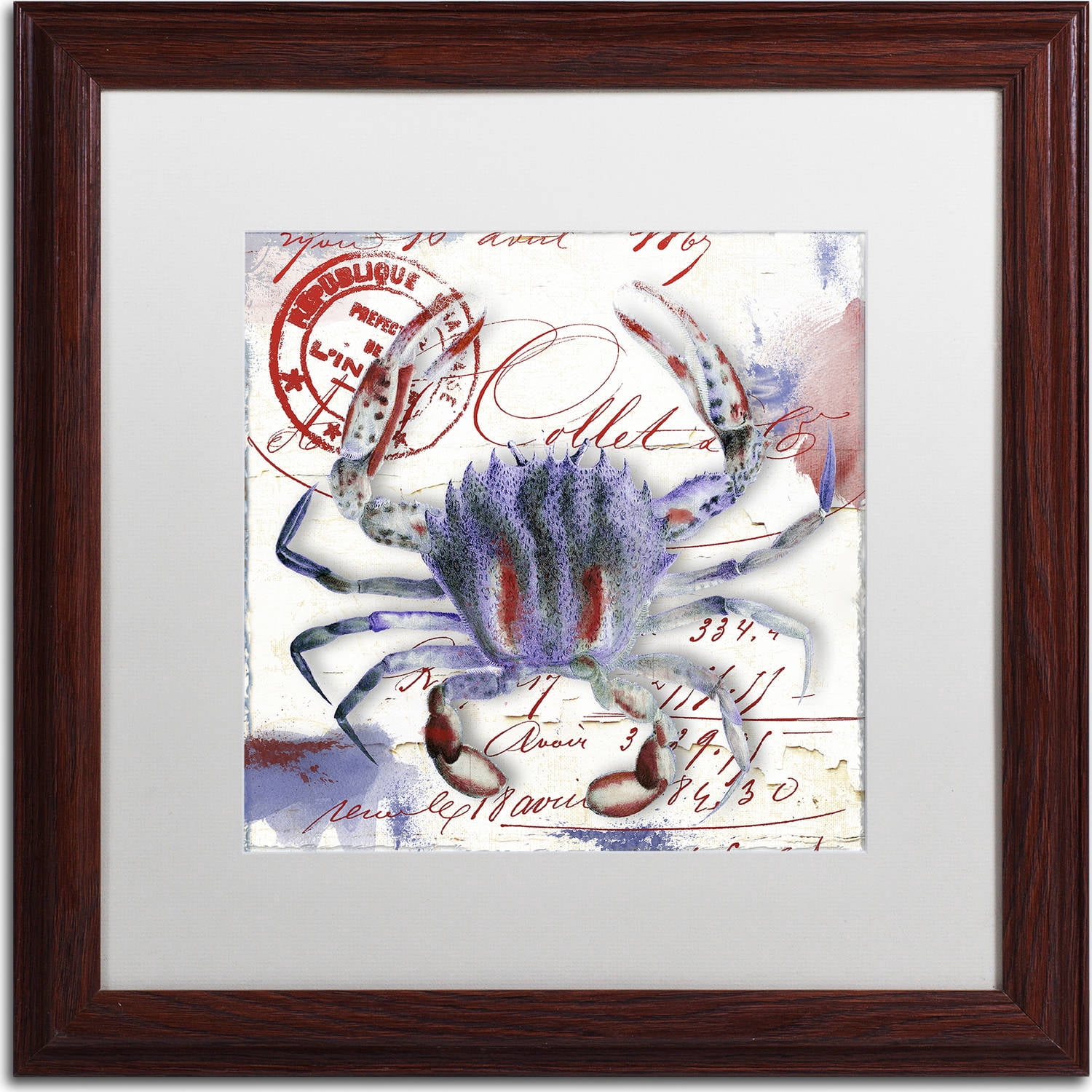Trademark Fine Art "Oceania II" Canvas Art by Color Bakery, White Matte, Wood Frame