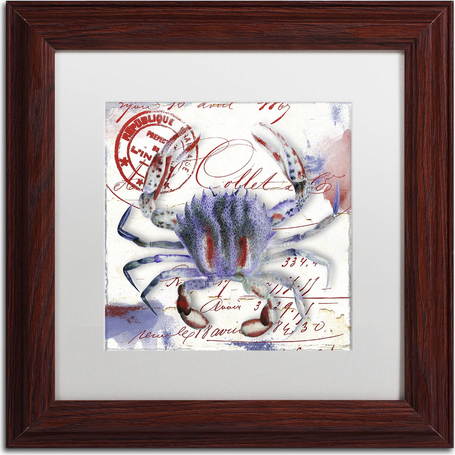 Trademark Fine Art "Oceania II" Canvas Art by Color Bakery, White Matte, Wood Frame
