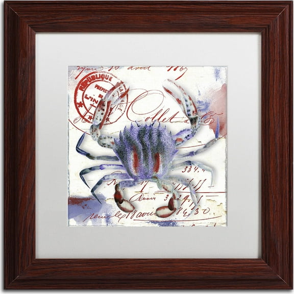 Trademark Fine Art "Oceania II" Canvas Art by Color Bakery, White Matte, Wood Frame