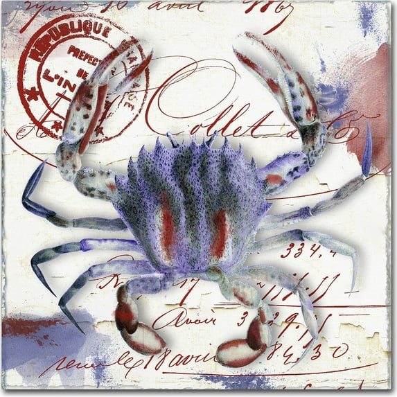 Trademark Fine Art "Oceania II" Canvas Art by Color Bakery