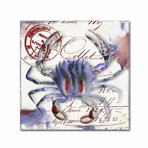 Trademark Fine Art "Oceania II" Canvas Art by Color Bakery
