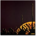 thumbnail image 1 of Trademark Fine Art "Ocotillo Moonrise" Canvas Art by Roderick Stevens, 1 of 4