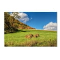 thumbnail image 1 of Trademark Fine Art "October Afternoon" Canvas Art by Lois Bryan, 1 of 3