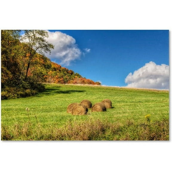 Trademark Fine Art "October Afternoon" Canvas Art by Lois Bryan