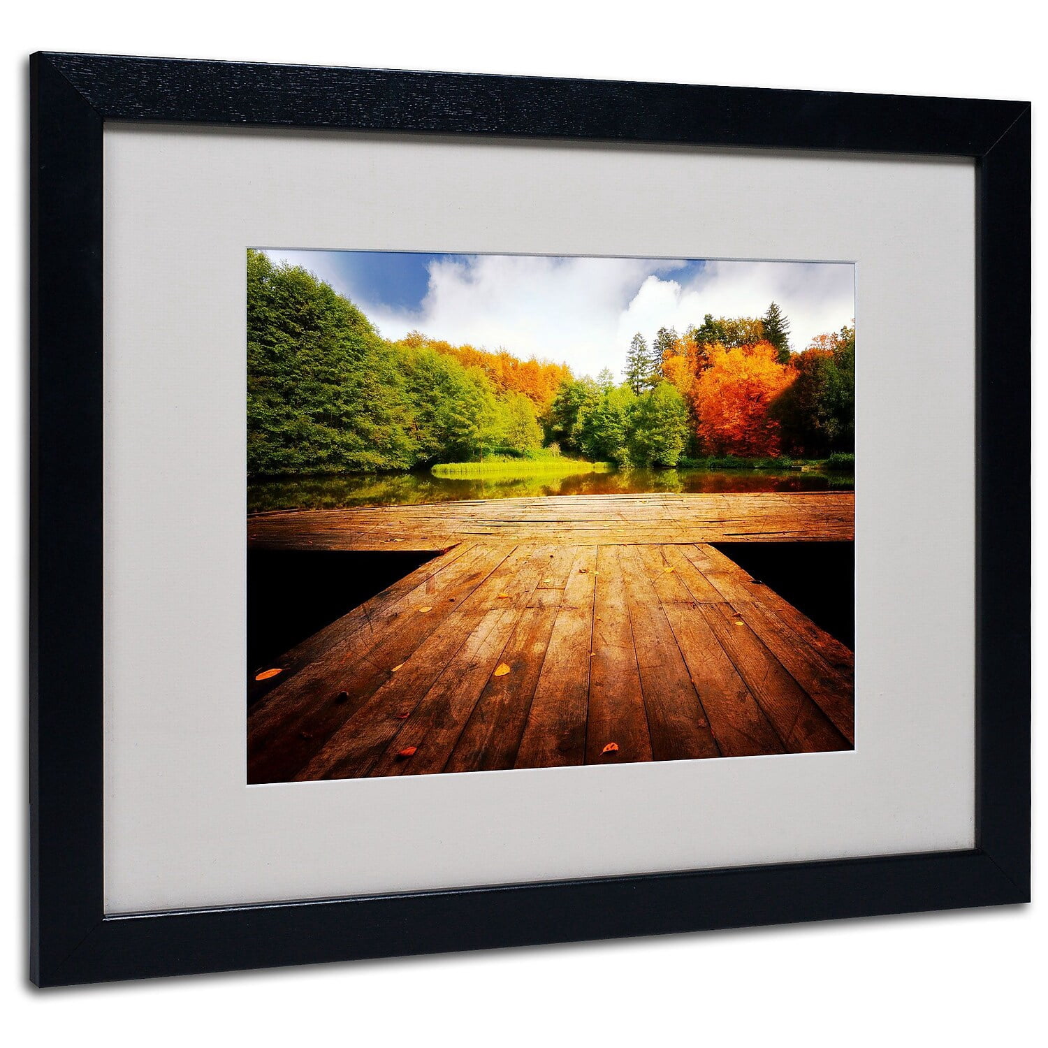 Trademark Fine Art "October" Canvas Art by Philippe Sainte-Laudy, Black Frame