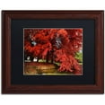 thumbnail image 1 of Trademark Fine Art "October" Canvas Art by Philippe Sainte-Laudy Black Matte, Wood Frame, 1 of 1