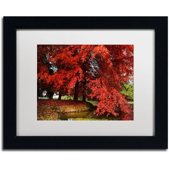 Trademark Fine Art "October" Canvas Art by Philippe Sainte-Laudy White Matte, Black Frame