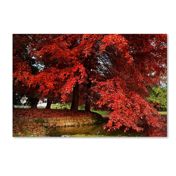 Trademark Fine Art "October" Canvas Art by Philippe Sainte-Laudy