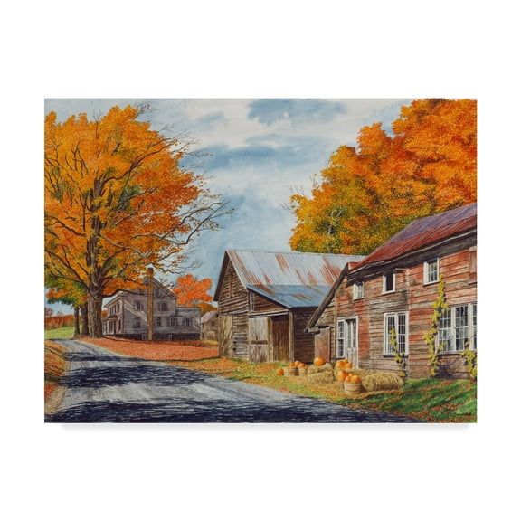 Trademark Fine Art 'October Country Drive' Canvas Art by Michael Davidoff