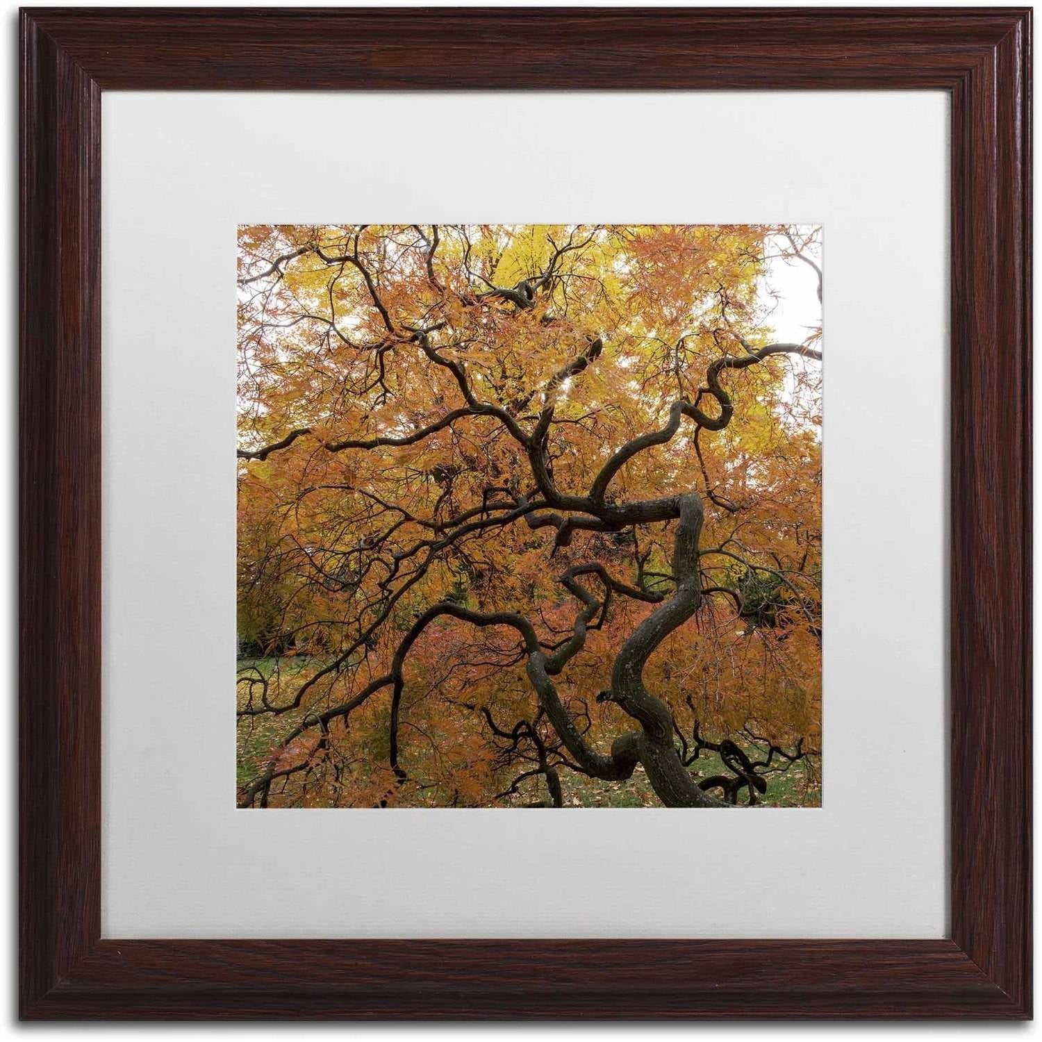 Trademark Fine Art "October Japanese Maple" Canvas Art by Kurt Shaffer, White Matte, Wood Frame
