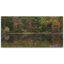 Trademark Fine Art "October on the Pond" Canvas Art by Kurt Shaffer