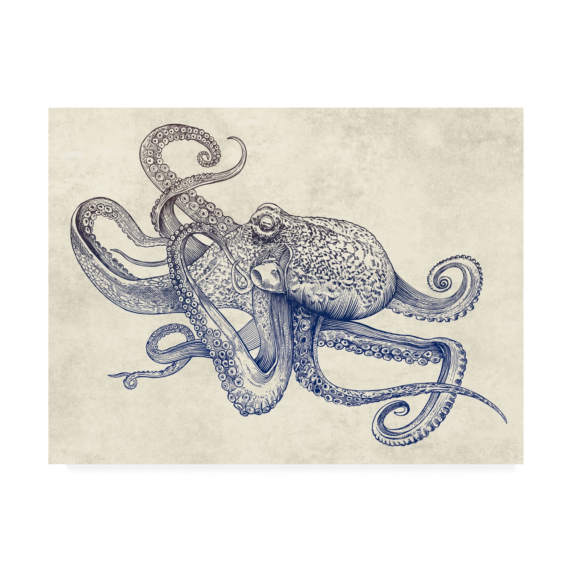 Trademark Fine Art 'Octoflow' Canvas Art by Rachel Caldwel