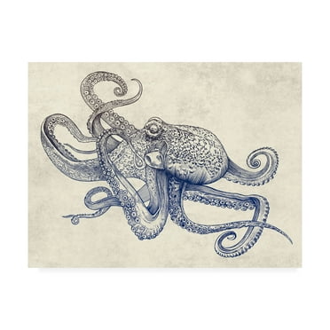 Trademark Fine Art 'Octoflow' Canvas Art by Rachel Caldwel