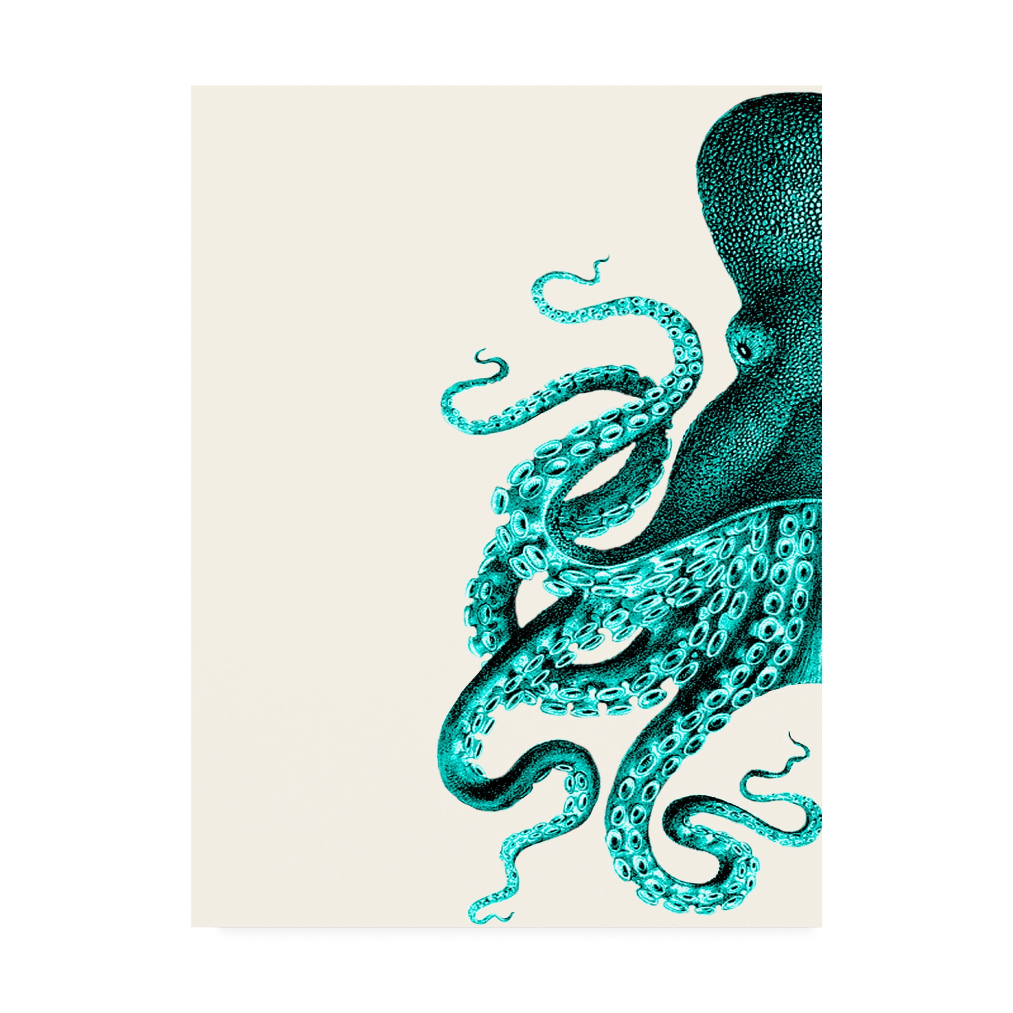Trademark Fine Art 'Octopus Green And Cream A' Canvas Art by Fab Funky
