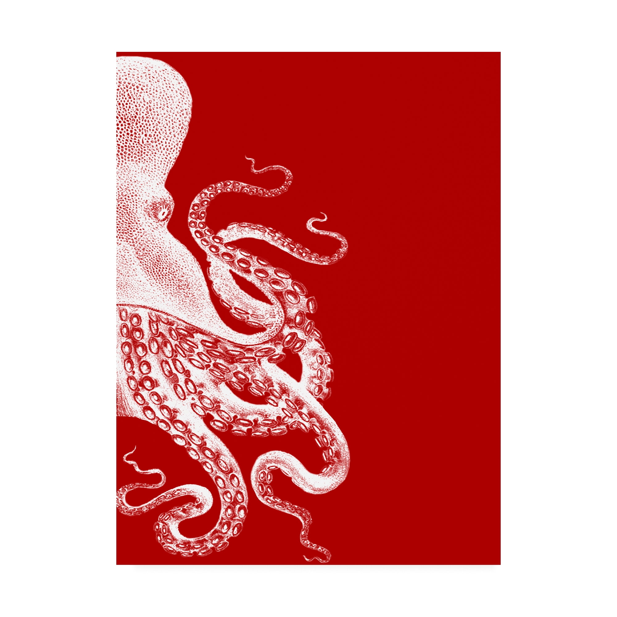 Trademark Fine Art 'Octopus Red and White b' Canvas Art by Fab Funky