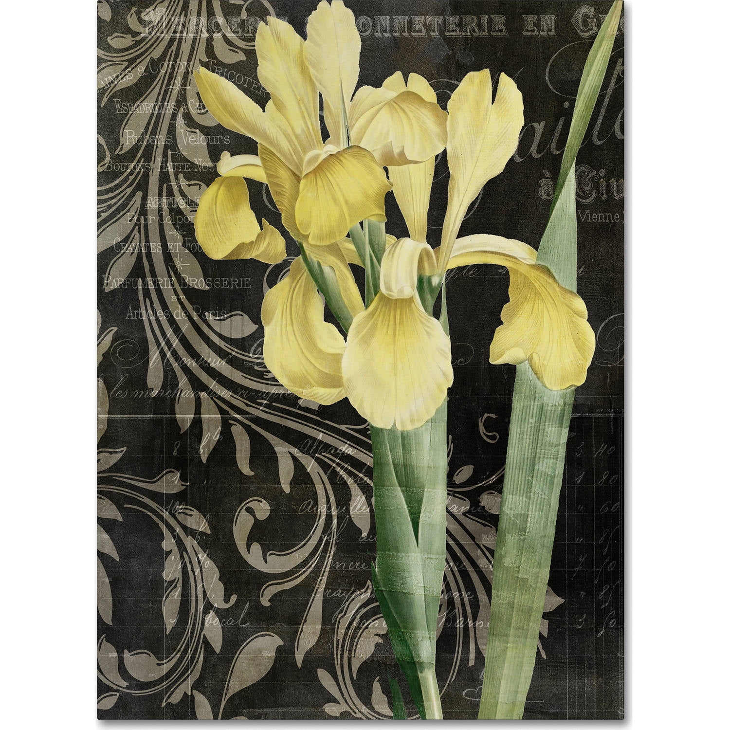 Ode to Yellow Floral Canvas Art with Black and Gray Background
