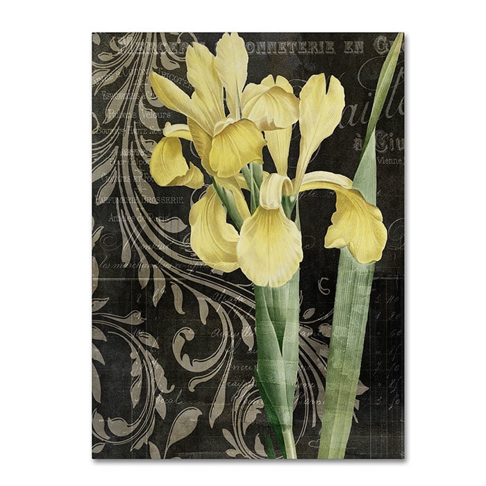Trademark Fine Art "Ode To Yellow" Canvas Art by Color Bakery