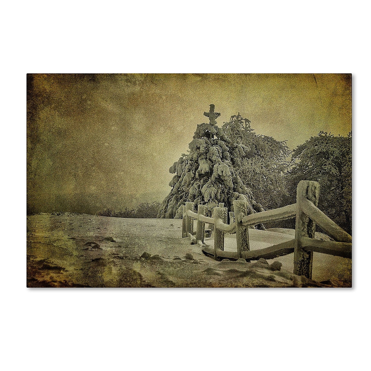 Trademark Fine Art "Oh Christmas Tree" Canvas Art by Lois Bryan