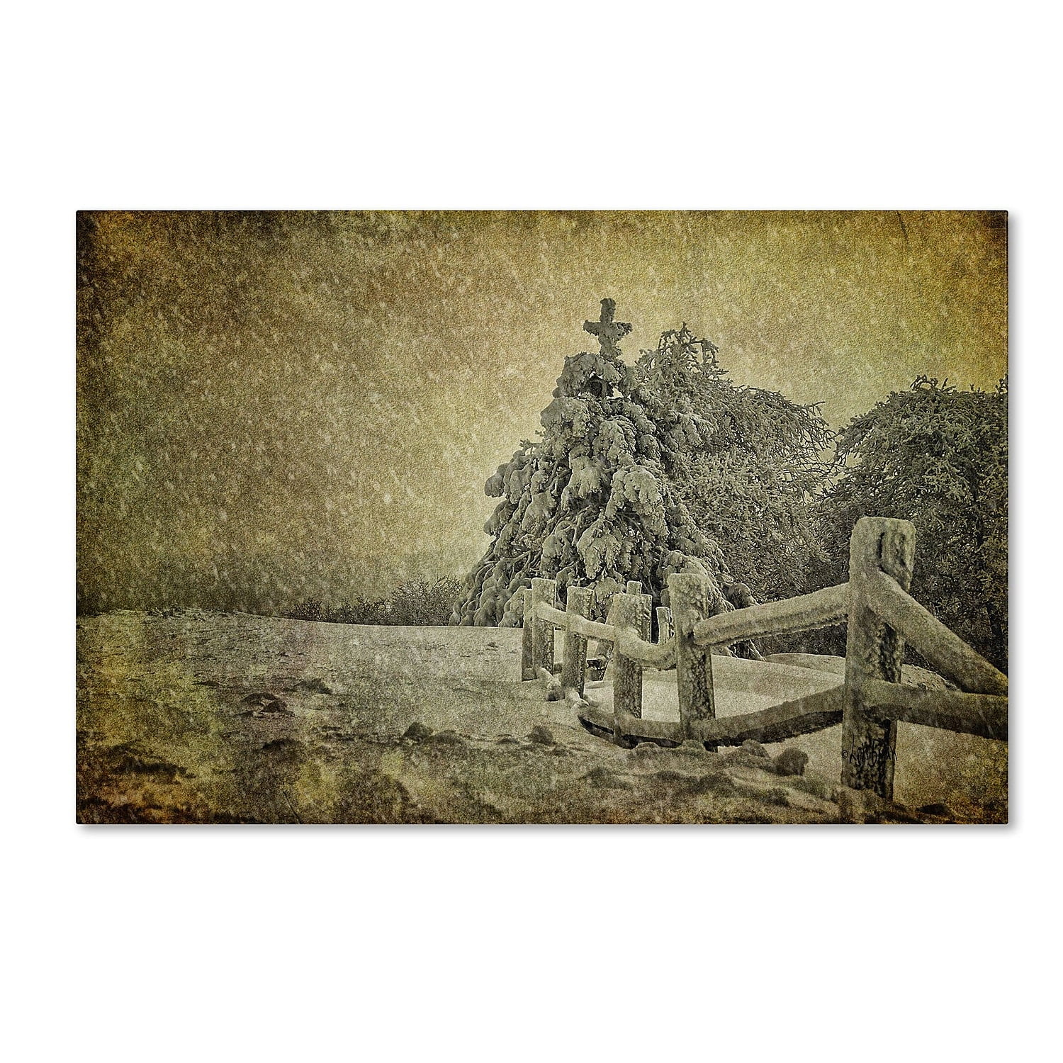 Trademark Fine Art "Oh Christmas Tree in Snow" Canvas Art by Lois Bryan