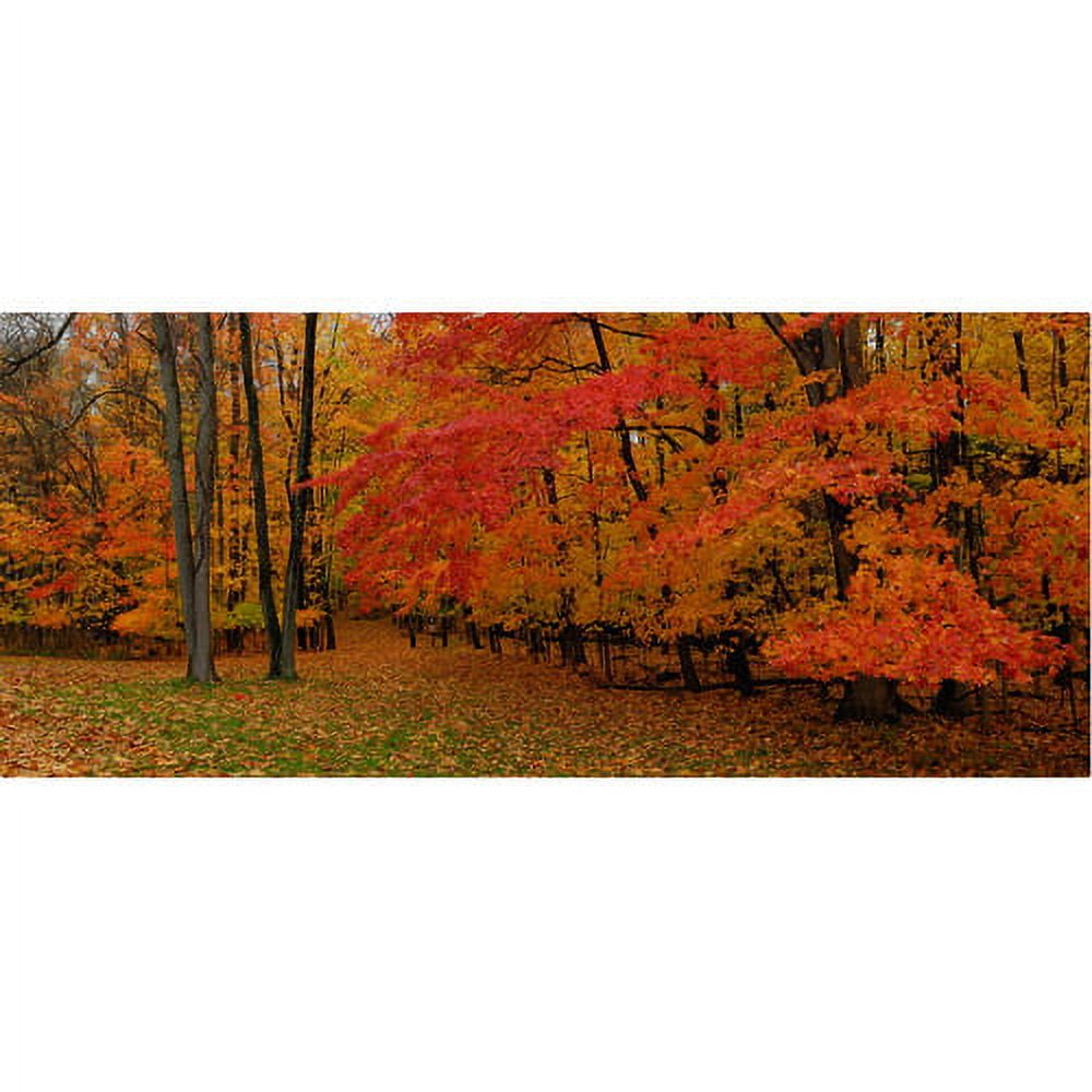 Trademark Fine Art "Ohio Autumn" Canvas Wall Art by Kurt Shaffer