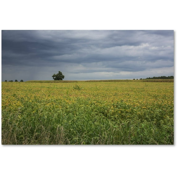 Trademark Fine Art "Ohio Countryside" Canvas Art by Kurt Shaffer