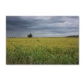 thumbnail image 1 of Trademark Fine Art "Ohio Countryside" Canvas Art by Kurt Shaffer, 1 of 3