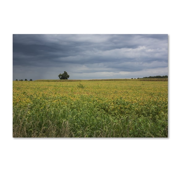 Trademark Fine Art "Ohio Countryside" Canvas Art by Kurt Shaffer