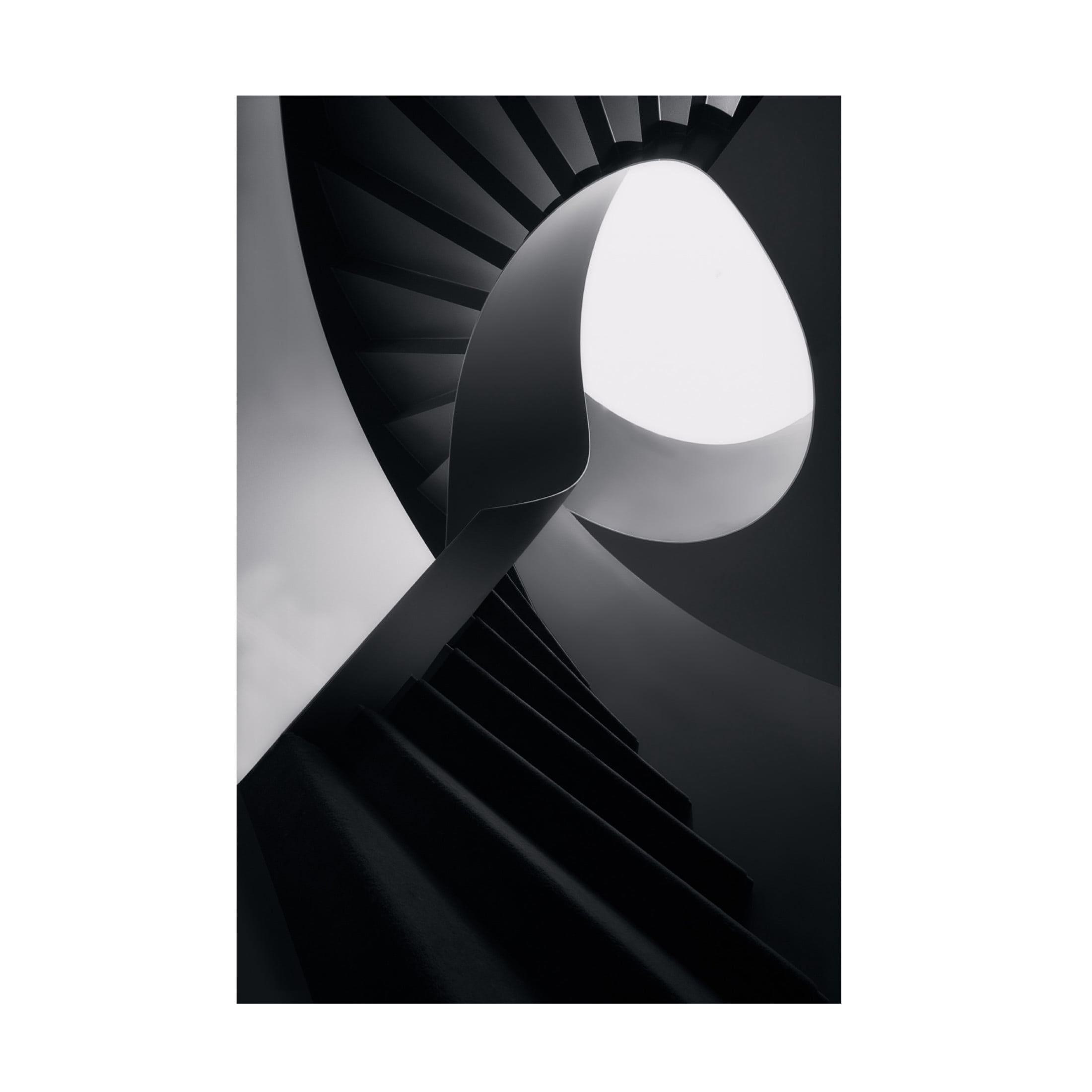 Trademark Fine Art Olavo Azevedo  Round lines Canvas Wall Art