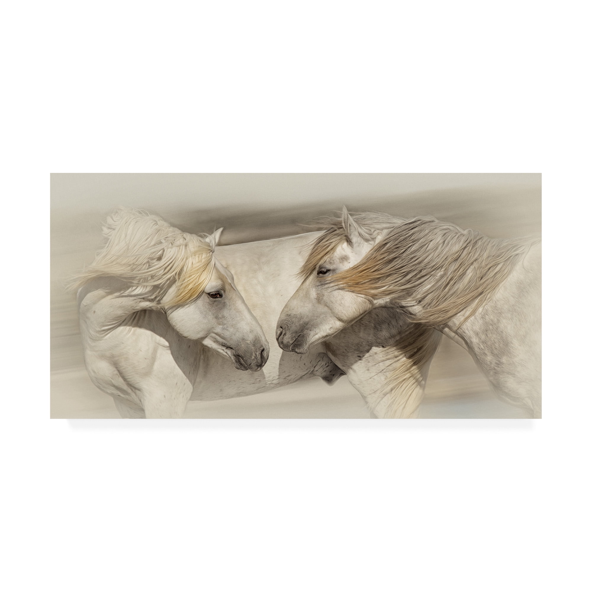Trademark Fine Art 'Old Acquaintances' Canvas Art by PHBurchett
