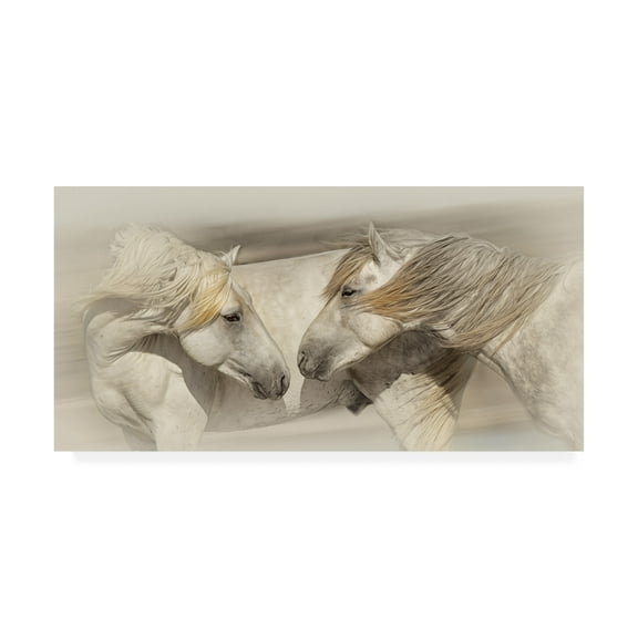 Trademark Fine Art 'Old Acquaintances' Canvas Art by PHBurchett