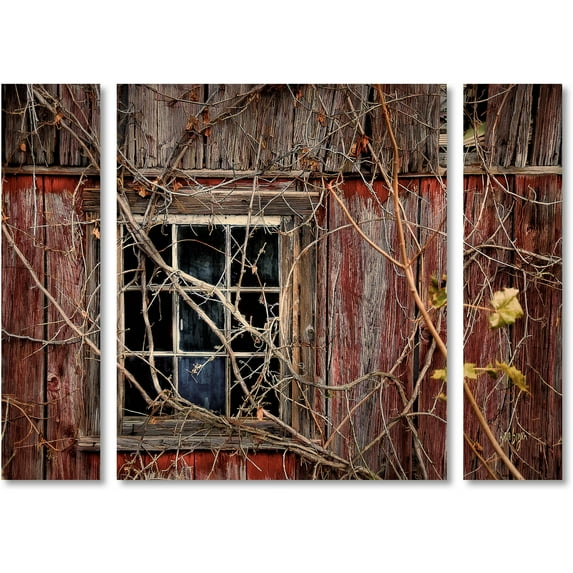 Trademark Fine Art "Old Barn Window" Canvas Art by Lois Bryan Three Panel Set